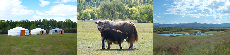 Heilkräuterreise durch die Mongolei