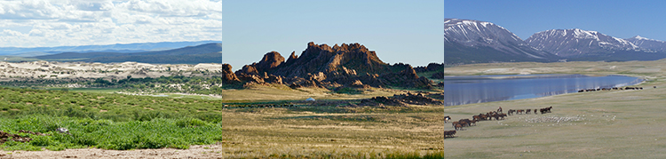 Mongolei: Wandern im Altaigebirge