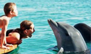 Israel: Dolfinim – Die Heilkraft der Delfine